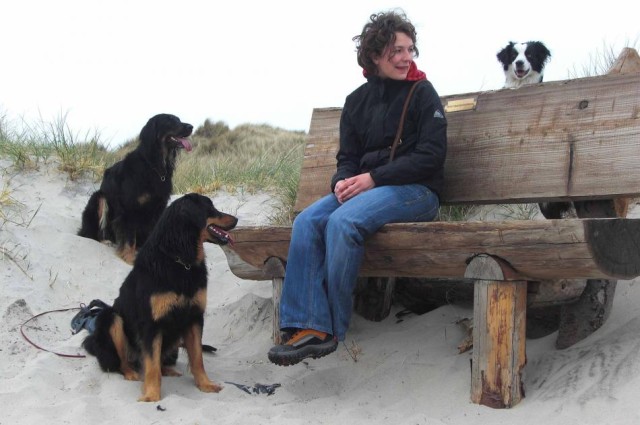 hoppe Logisk Haiku Ferie med hund i Danmark | Tag hunden med i sommerhus - Esmark