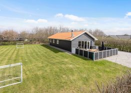 Ferienhaus mit kinderfreundlichem Grundstück in Bork Havn