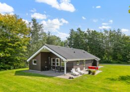 4-Sterne-Ferienhaus mit Sauna und Whirlpool in Jegum Ferieland