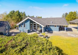 3+-Sterne-Ferienhaus mit Sauna und Whirlpool in Jegum