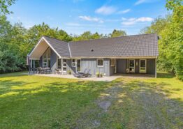 Skønt aktivitetshus til 10 gæster med standspa i Jegum Ferieland. Kat. nr.:  20121, Solbærvangen 12;