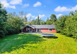 Aktivitetshus med billard, trampolin og masser af plads i Jegum. Kat. nr.:  20158, Blomstervangen 39;