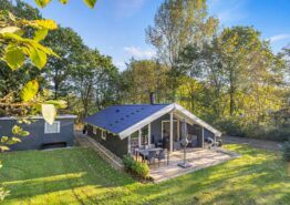 Ferienhaus in Jegum Ferieland für 6 Personen + 2 Hunde. Kat. nr.:  20318, Hybenvangen 20