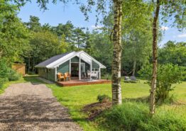 Hyggeligt sommerhus til 5 personer i Jegum. Kat. nr.:  20328, Birkelunden 10