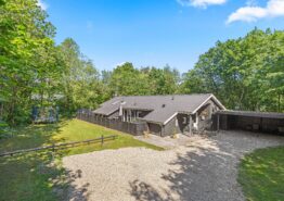 Poolhus til 8 personer og 1 hund i Jegum Ferieland