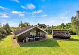 Gemütliches Aktivitätshaus mit Sauna und Whirlpool – 2 Hunde. Kat. nr.:  20685, Brombærvangen 8;