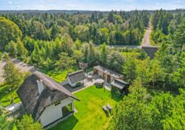 Charmantes Ferienhaus mit Reetdach in idyllischer Lage