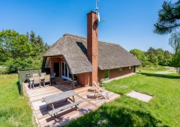 Reetgedecktes Ferienhaus mit Sauna auf großem Naturgrundstück