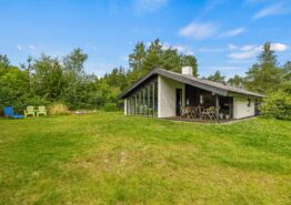 Klassisches Ferienhaus mit Kamin auf Naturgrundstück – 1 Hund