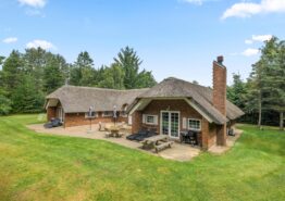 Ferienhaus für 8 Personen + 2 Hunde mit Whirlpool und Sauna in Houstrup