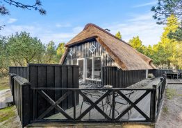 Ferienhaus für 6 Personen + 1 Hund in Houstrup