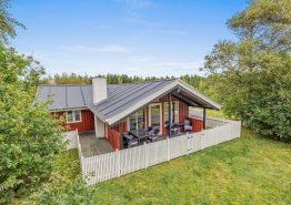 Ferienhaus für 5 Personen + 1 Hund mit Sauna in Houstrup