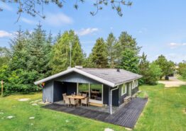 Ferienhaus für 5 Personen + 2 Hunde in Houstrups Natur