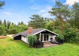 Klassisches Ferienhaus für 4 Personen + 2 Hunde in Houstrup