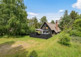 Gemütliches Reetdachhaus in dem auch euer Hund willkommen ist