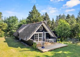 Klassisches Reetdach-Sommerhaus mit Kamin in Houstrup