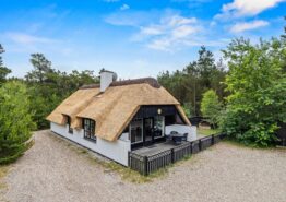 Hyggeligt stråtækt ikke-ryger hus med spa og hunde tilladt