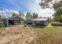 Hyggeligt sommerhus med brændeovn midt i naturen