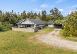 Helles Ferienhaus mitten in der Houstruper Waldlandschaft