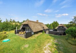 Dejligt stråtækt sommerhus, med plads til hele familien.. Kat. nr.:  30342, Kirkeflod 93;