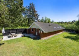 Lyst og venligt feriehus med indhegnet have. Kat. nr.:  30382, Hedevang 76