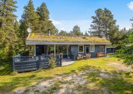 Luksuriøs sommerhusferie på lukket naturgrund med udesauna