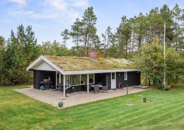 Lyst og hyggeligt sommerhus med stor græsplæne