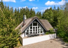 Gemütliches Reetdachhäuschen mit Sauna in Houstrup