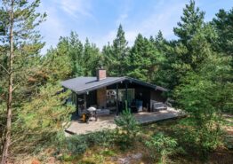 Lyst indrettet feriehus på idyllisk naturgrund