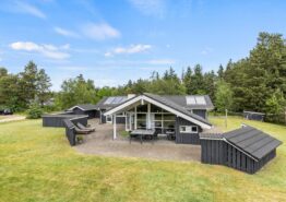 Energie-freundliches Ferienhaus mit Sauna und Whirlpool