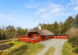 Behagliches Reetdachhaus mit Sauna, Kaminofen und Internet