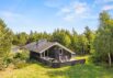 Hyggeligt hundevenligt træsommerhus med spabad (billede 1)