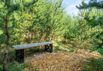 Stilfuldt sommerhus med wellness og naturoase i Houstrup (billede 45)