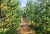 Stilfuldt sommerhus med wellness og naturoase i Houstrup (billede 46)