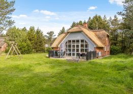 4-Sterne-Ferienhaus für 8 Personen + 1 Hund mit Whirlpool