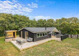 Einladendes Ferienhaus für 8 Personen in Bork Havn