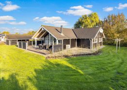 Allergiefreundliches Ferienhaus mit Sauna und Whirlpool in Bork Havn