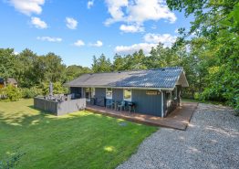 Gemütliches, kleines Ferienhaus mit Platz für 4 Personen & 1 Hund