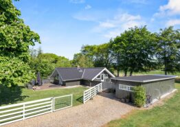 Familienfreundliches Ferienhaus mit Kamin in Bork Havn