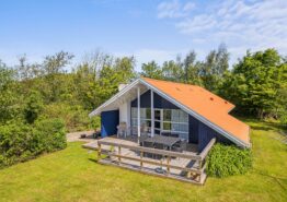 Hyggeligt sommerhus med spabad i Bork