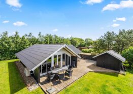 3-Sterne-Ferienhaus für 6 Personen in Bork Havn. Kat. nr.:  35491, Tues Drøwt 41;