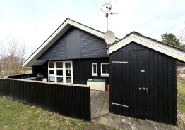 Bork Havn. Kat. nr.:  , ;