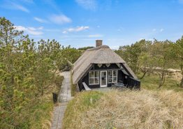 Kleines, gemütliches Reetdachhaus in Henne Strand
