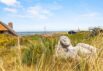 Schönes Ferienhaus mit fantastischem Blick auf die Nordsee (Bild  27)