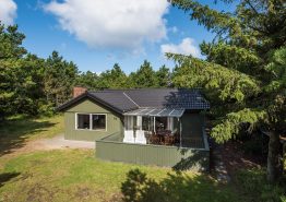 Gepflegtes Holzferienhaus mit Badewanne & Sauna in Henne Strand