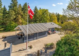 Velholdt feriehus med brændeovn til 6 personer – og 2 husdyr. Kat. nr.:  41601, Strandvejen 266;