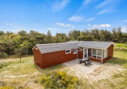 Ferienhaus mit „Hygge“ Charme in Vejers. Kat. nr.:  50153, Mågevej 14;