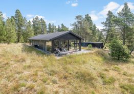 Schönes Ferienhaus, Natur pur mit Kaminofen