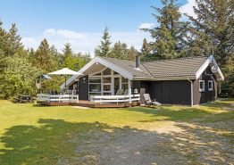 Moderne sommerhus i Mosevrå med brændeovn til 6 personer