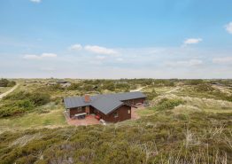 Charmantes Ferienhaus in ruhiger Lage – 8 Personen und 2 Hunde. Kat. nr.:  52029, Revlingevej 39;